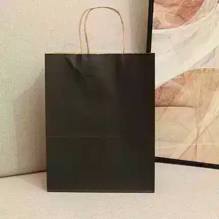 Recyclable Paper Bags Wholesale